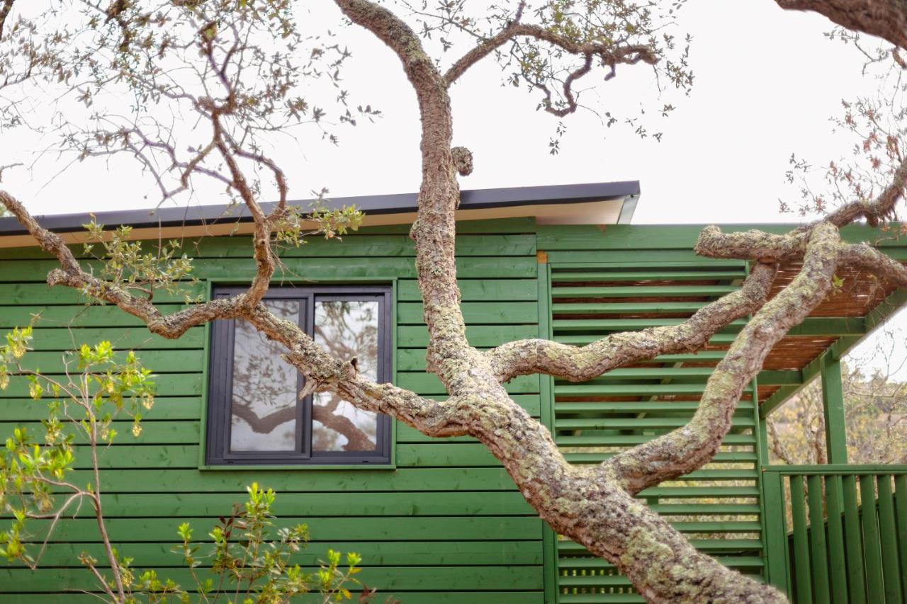Pola Giverola Camp Tossa de Mar Ngoại thất bức ảnh