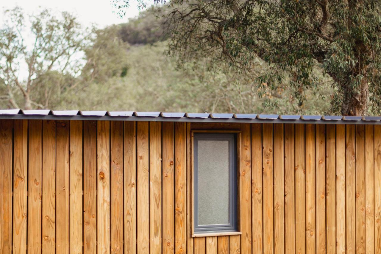 Pola Giverola Camp Tossa de Mar Ngoại thất bức ảnh