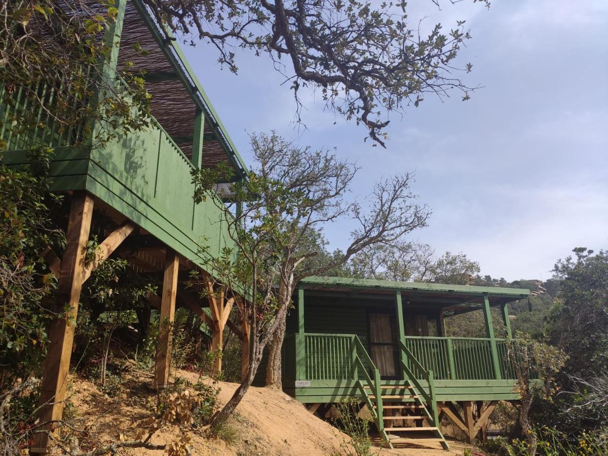 Pola Giverola Camp Tossa de Mar Ngoại thất bức ảnh