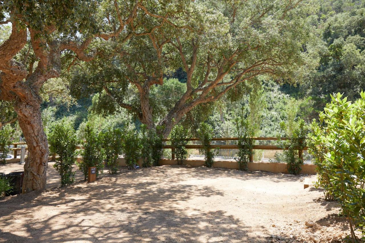 Pola Giverola Camp Tossa de Mar Ngoại thất bức ảnh