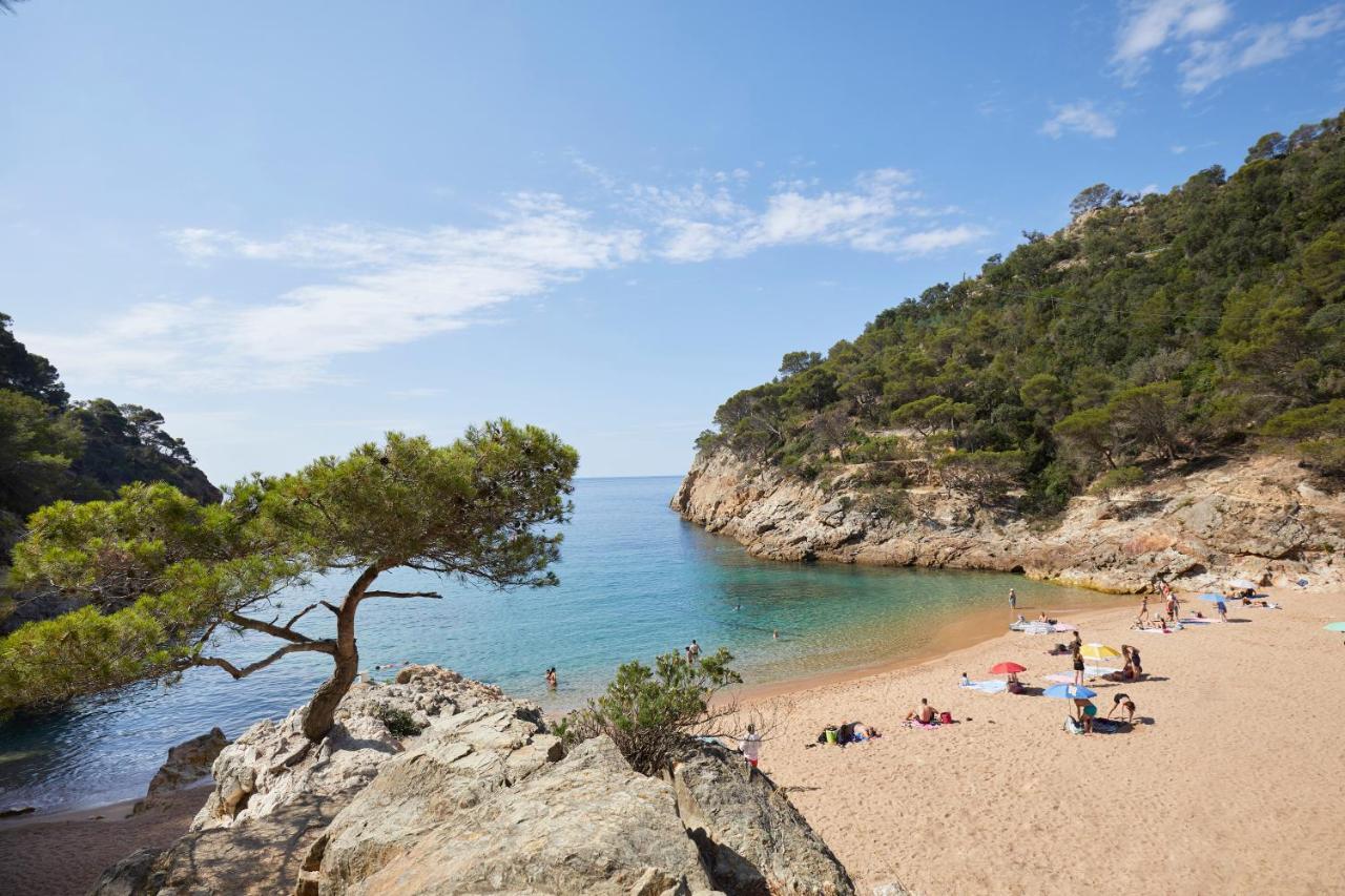 Pola Giverola Camp Tossa de Mar Ngoại thất bức ảnh
