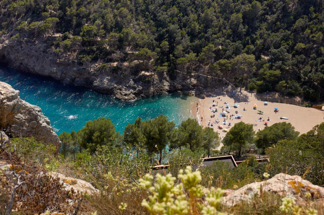 Pola Giverola Camp Tossa de Mar Ngoại thất bức ảnh