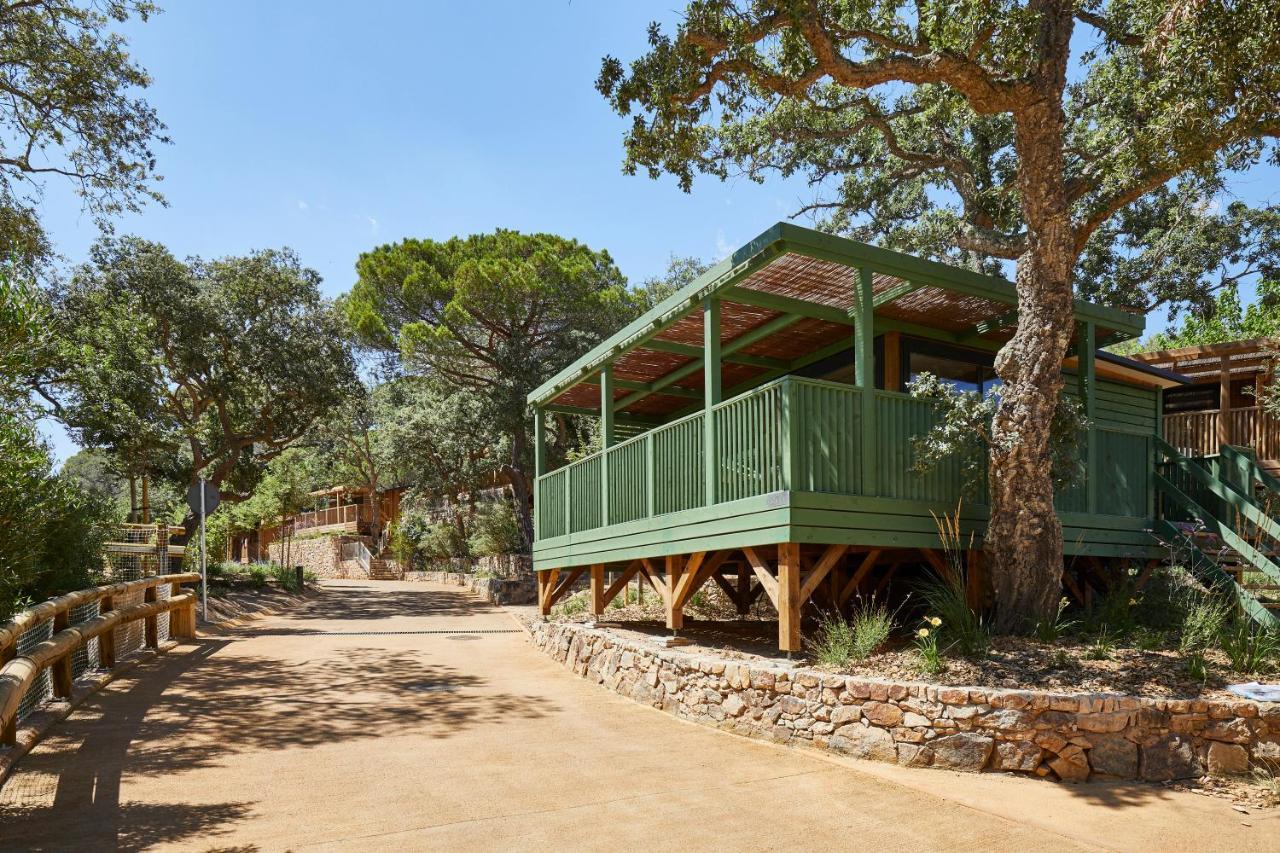 Pola Giverola Camp Tossa de Mar Ngoại thất bức ảnh