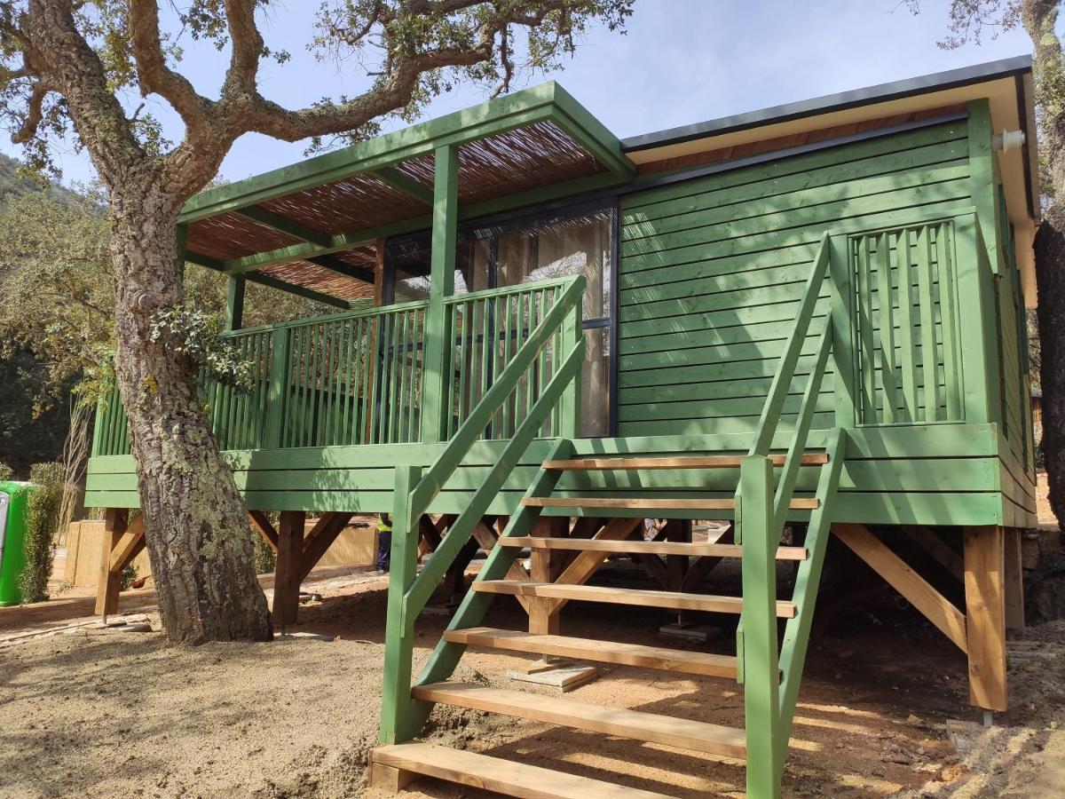 Pola Giverola Camp Tossa de Mar Ngoại thất bức ảnh